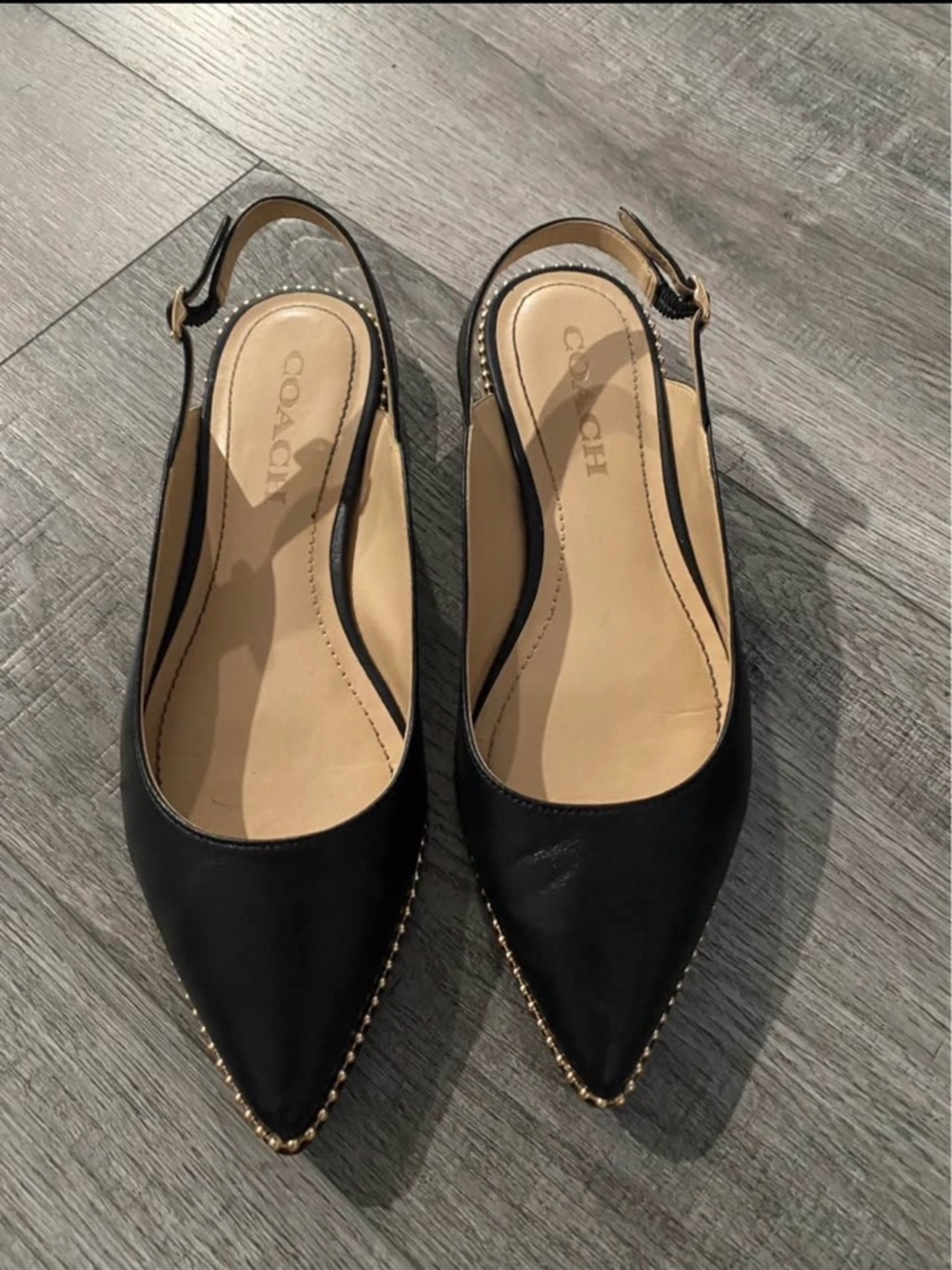 Coach Vae Slingback Flats